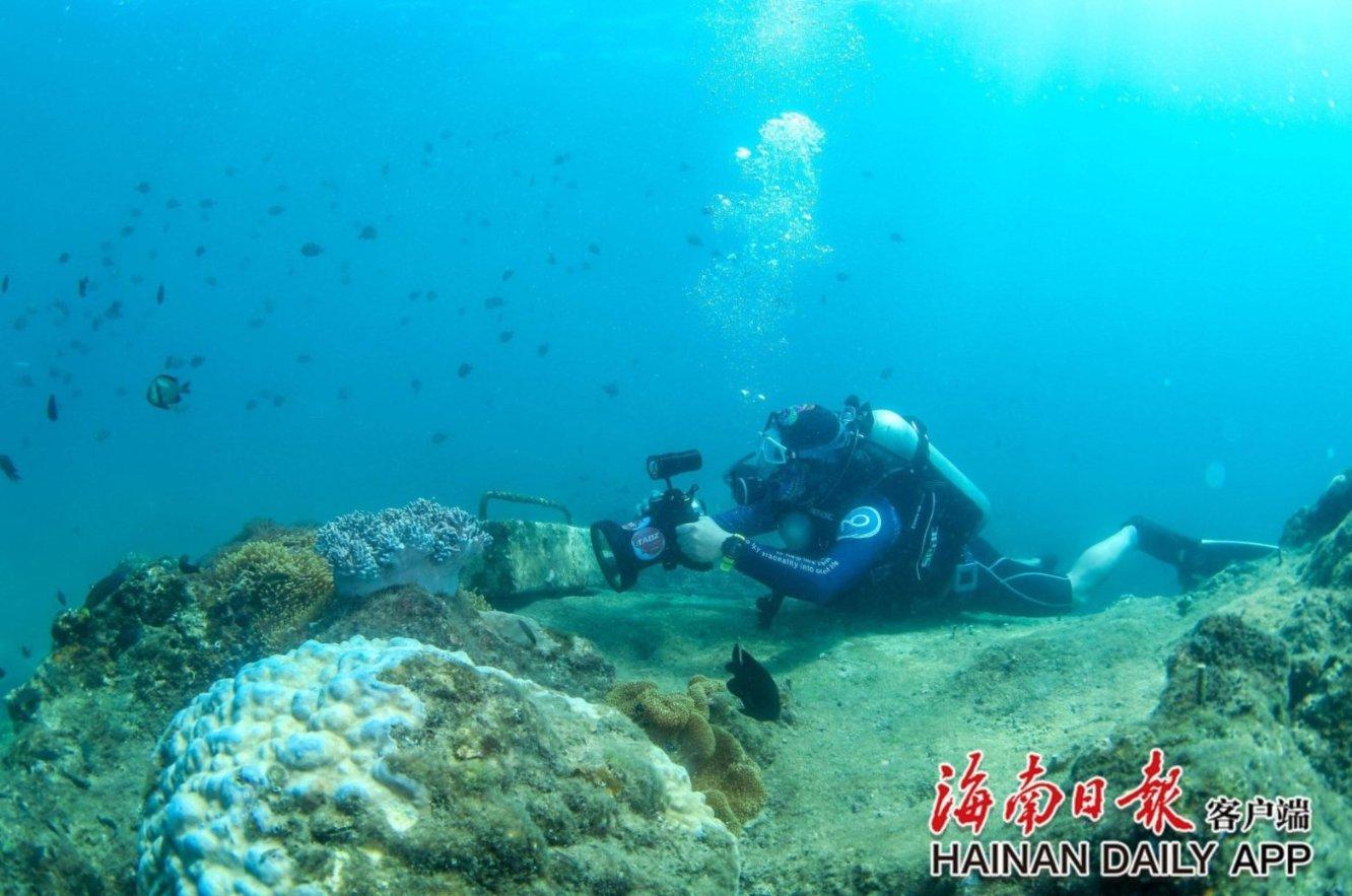 埃斯机油可以用于大众途岳车么？