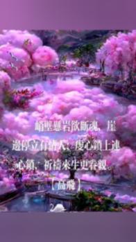 学驾照是否变难了?-专业的有问必答平台