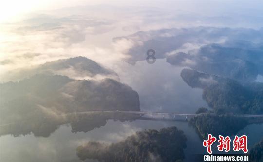 深入了解政审时爸爸的哥哥怎么写知识星球,解锁更多学习之门