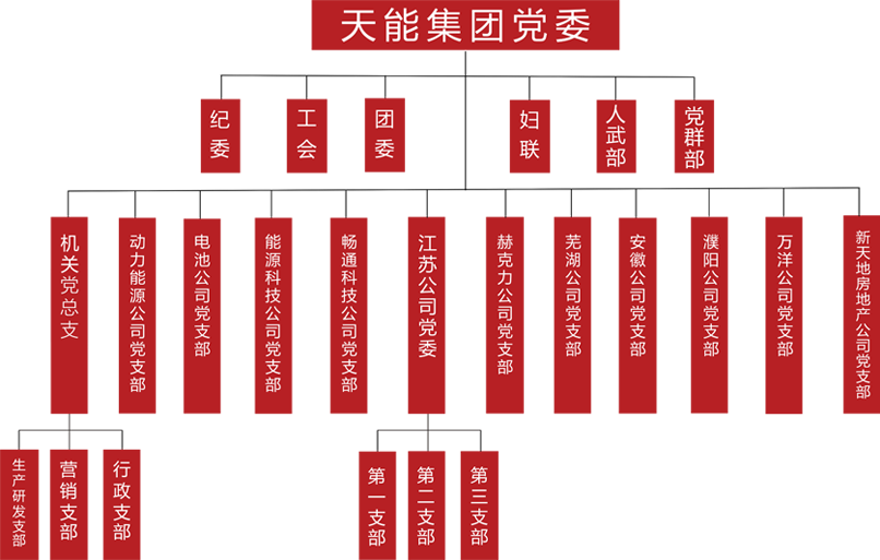 雷竞技raybetapp官网登录建团党委组织架构